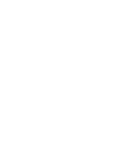 flyer2